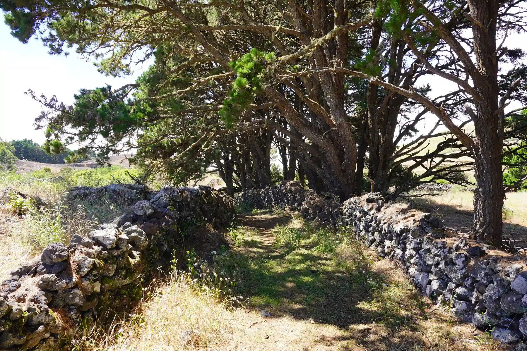 geoparque-el-hierro-la-albarrada-10