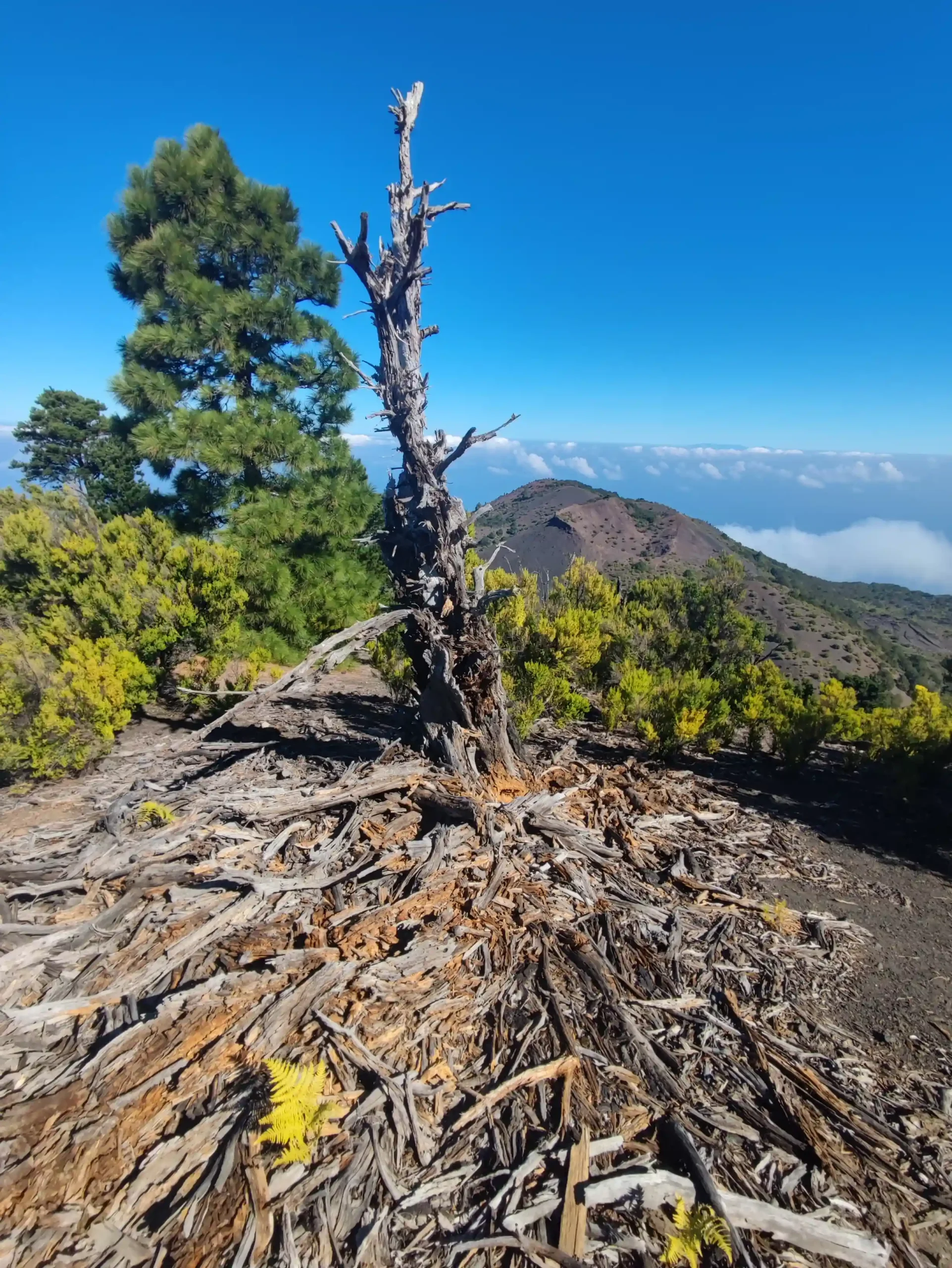geoparque-el-hierro-14